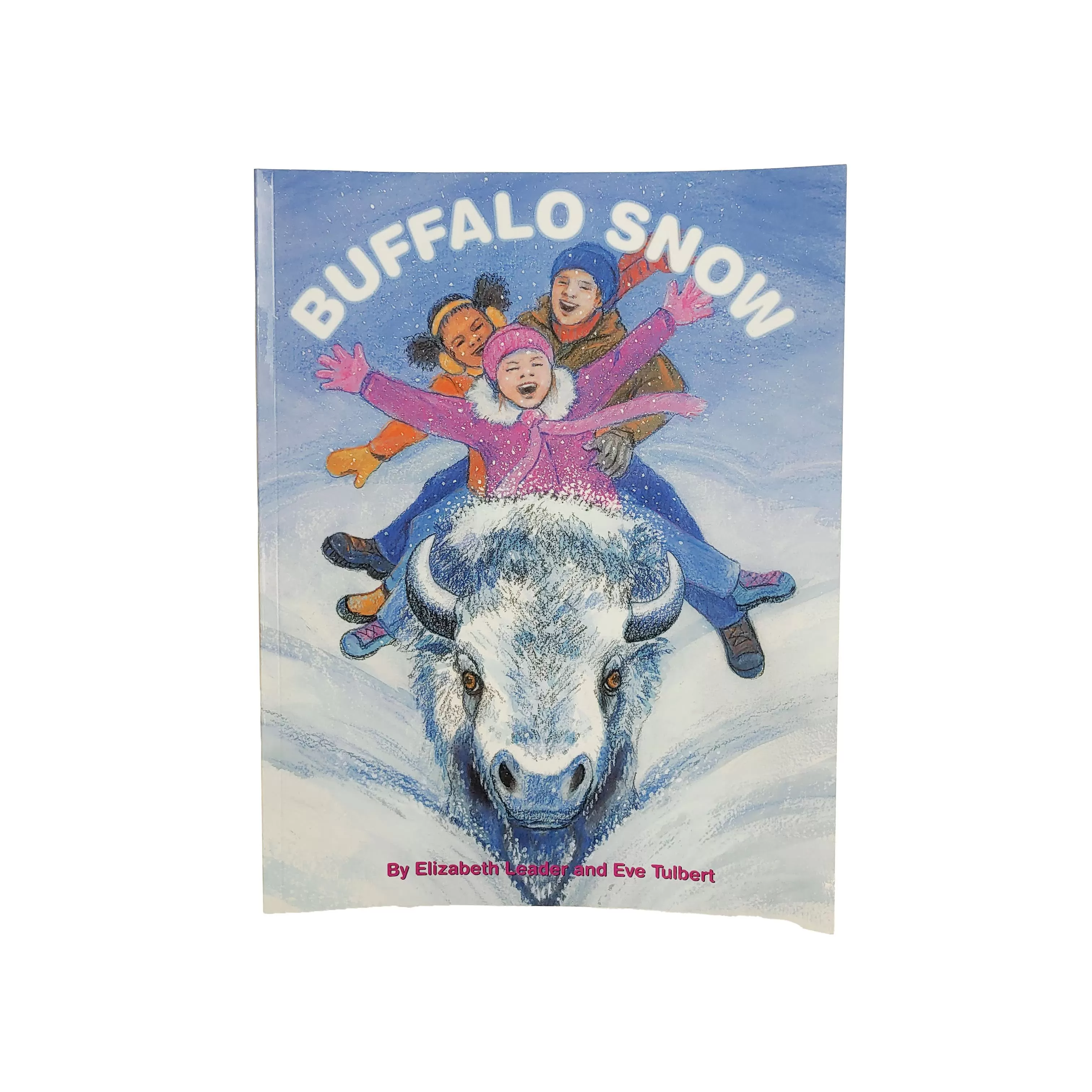 Buffalo Snow Children's Book