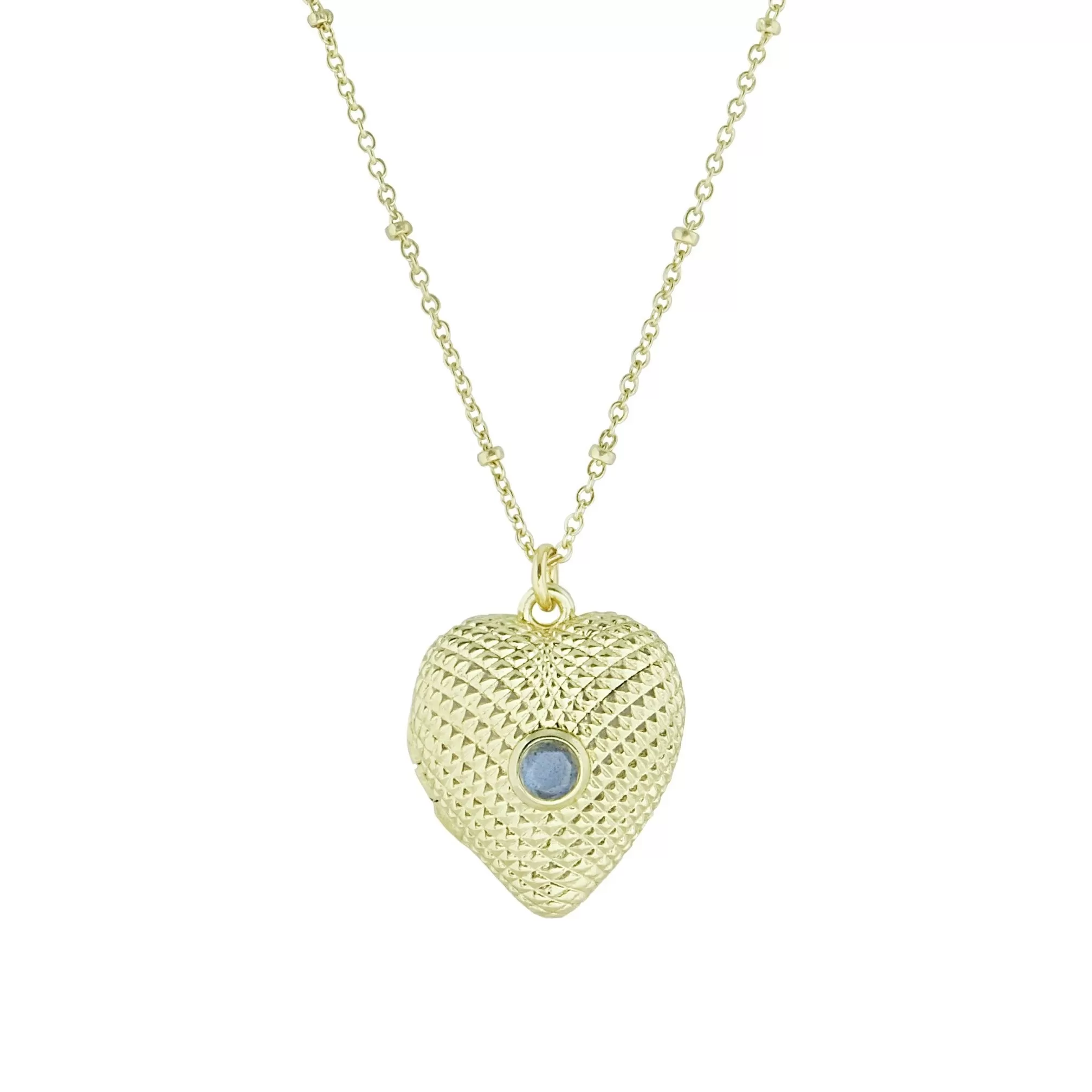 Cassy Heart Locket Necklace