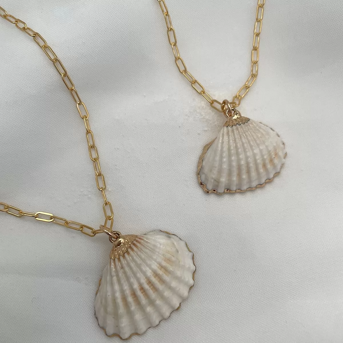 She Sells Seashells Necklace