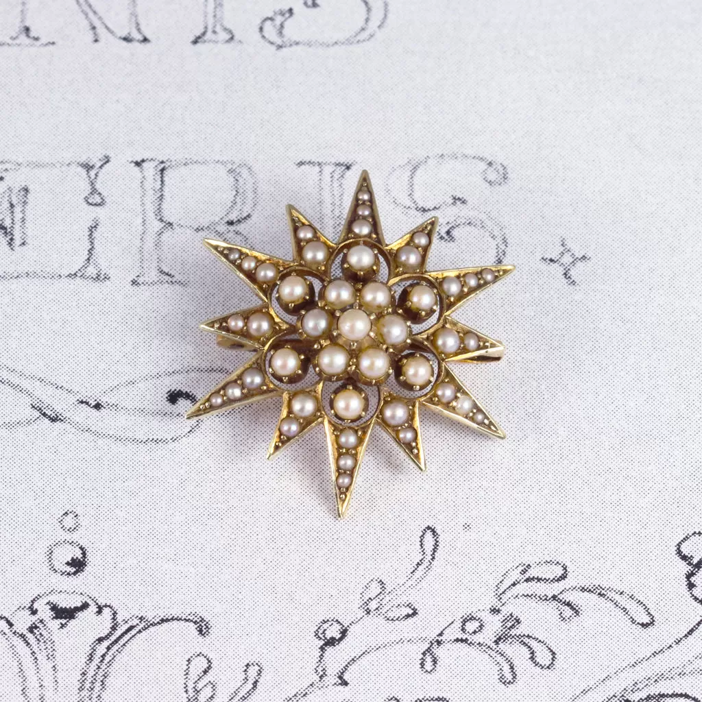 Victorian Pearl Star Pendant/ Brooch